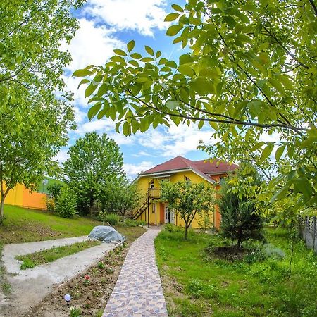 Casa Liana Hotel Oradea Ngoại thất bức ảnh