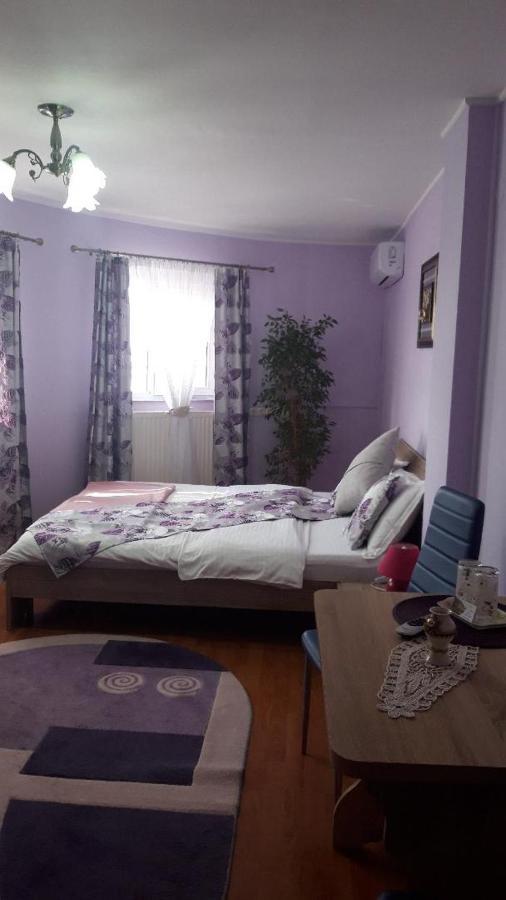Casa Liana Hotel Oradea Ngoại thất bức ảnh