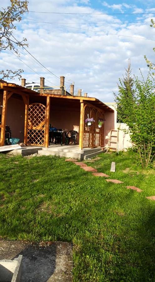 Casa Liana Hotel Oradea Ngoại thất bức ảnh